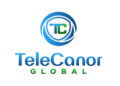 From Dormancy to Profit Engine Telecanor Global Reports Its Strongest Quarter in Three Years with PAT Up 2300 Percent YoY and 25 Percent QoQ