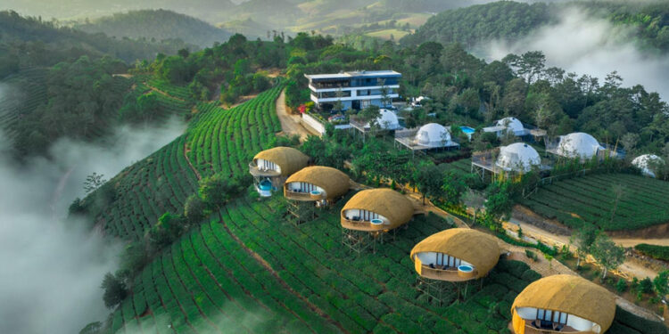 Monticle Glamps- Vagamon’s Top Resort Earns highest Guest Ratings as Kerala’s Premier Luxury Glamping Destination